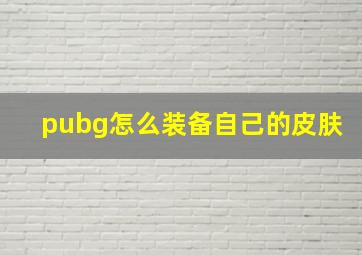 pubg怎么装备自己的皮肤