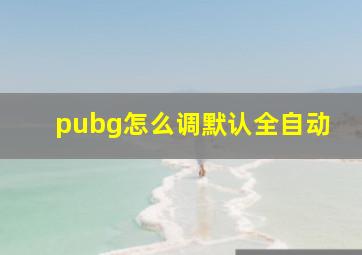 pubg怎么调默认全自动