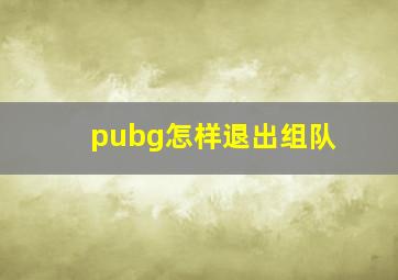 pubg怎样退出组队