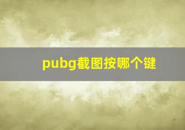 pubg截图按哪个键