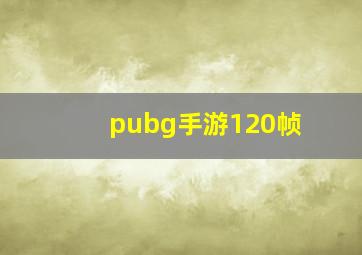 pubg手游120帧