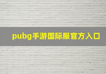 pubg手游国际服官方入口