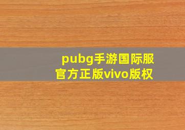 pubg手游国际服官方正版vivo版权