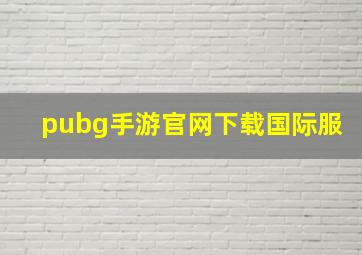 pubg手游官网下载国际服