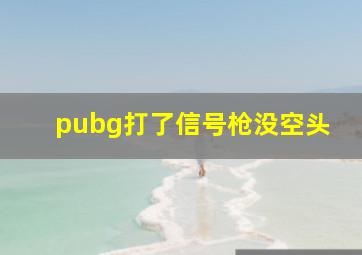 pubg打了信号枪没空头