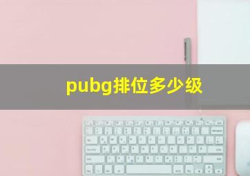 pubg排位多少级