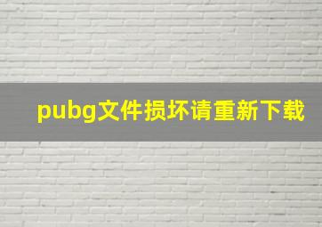 pubg文件损坏请重新下载