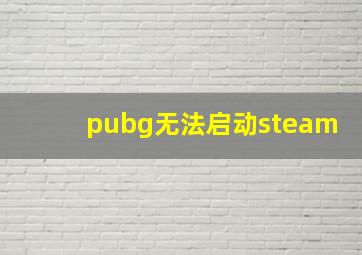 pubg无法启动steam