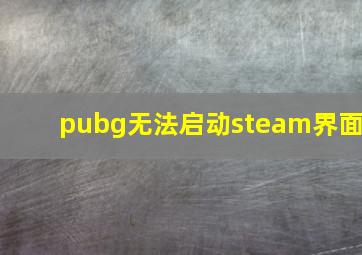 pubg无法启动steam界面