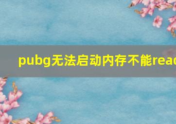 pubg无法启动内存不能read