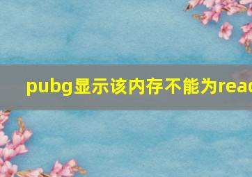 pubg显示该内存不能为read