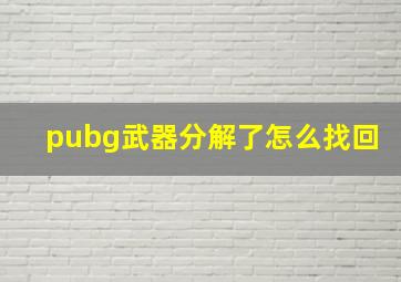 pubg武器分解了怎么找回