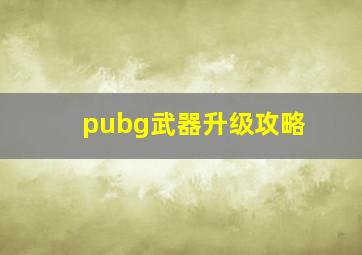 pubg武器升级攻略