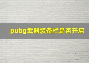 pubg武器装备栏是否开启