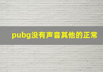 pubg没有声音其他的正常