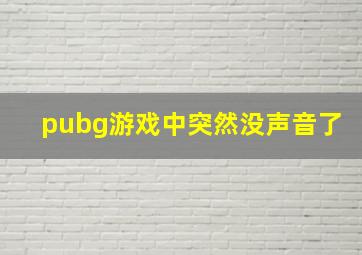 pubg游戏中突然没声音了