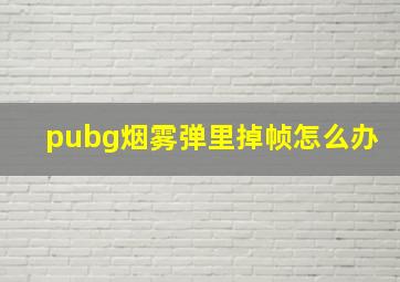 pubg烟雾弹里掉帧怎么办