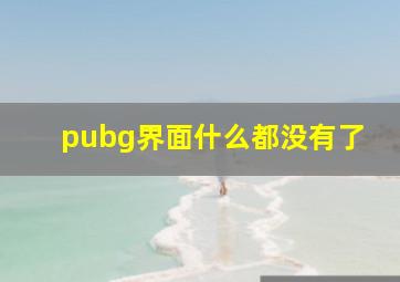 pubg界面什么都没有了