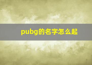 pubg的名字怎么起