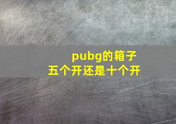 pubg的箱子五个开还是十个开