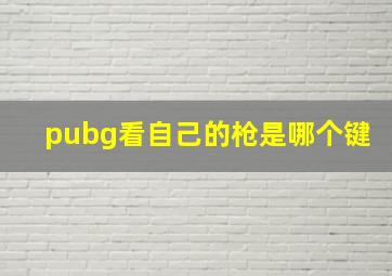 pubg看自己的枪是哪个键