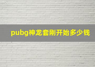 pubg神龙套刚开始多少钱