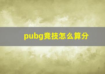 pubg竞技怎么算分