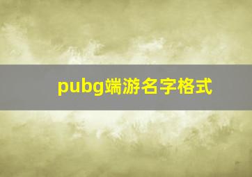 pubg端游名字格式