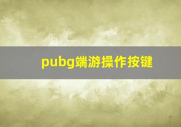 pubg端游操作按键