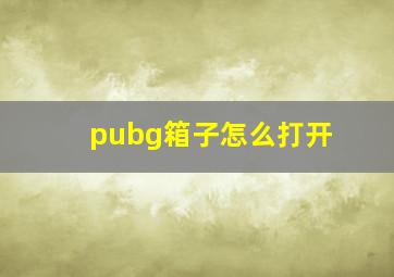 pubg箱子怎么打开