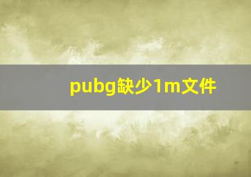 pubg缺少1m文件