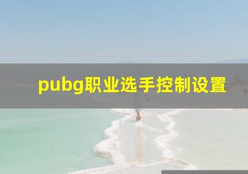 pubg职业选手控制设置