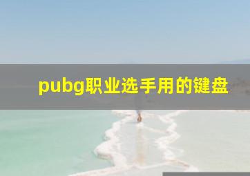 pubg职业选手用的键盘