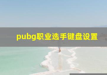 pubg职业选手键盘设置