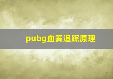 pubg血雾追踪原理