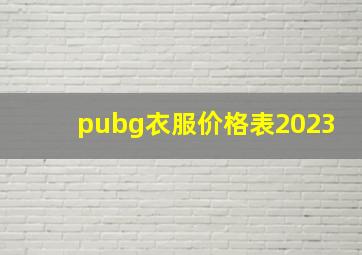 pubg衣服价格表2023