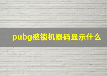 pubg被锁机器码显示什么