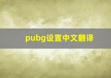 pubg设置中文翻译