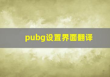 pubg设置界面翻译