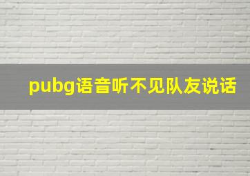 pubg语音听不见队友说话