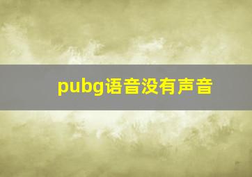 pubg语音没有声音