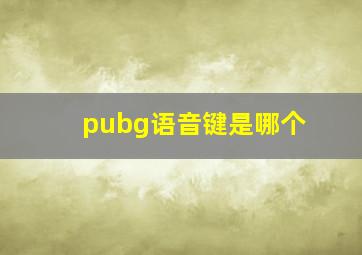 pubg语音键是哪个