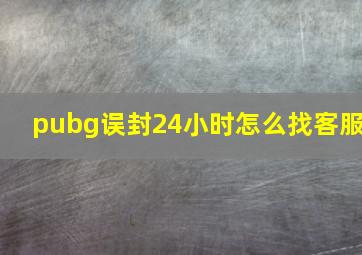 pubg误封24小时怎么找客服