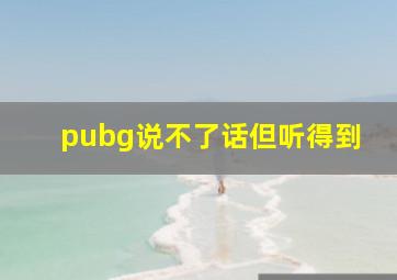 pubg说不了话但听得到