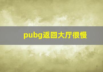 pubg返回大厅很慢