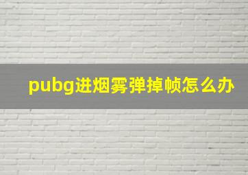 pubg进烟雾弹掉帧怎么办