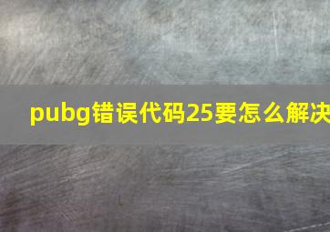 pubg错误代码25要怎么解决