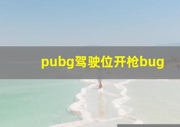 pubg驾驶位开枪bug