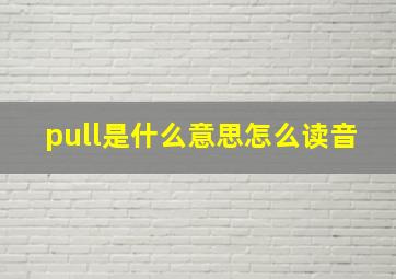 pull是什么意思怎么读音