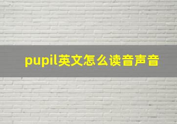 pupil英文怎么读音声音